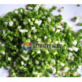 Spring Onion, Chives, Scallion, Leek, Celery, Pepper Cutter Cutting Machine